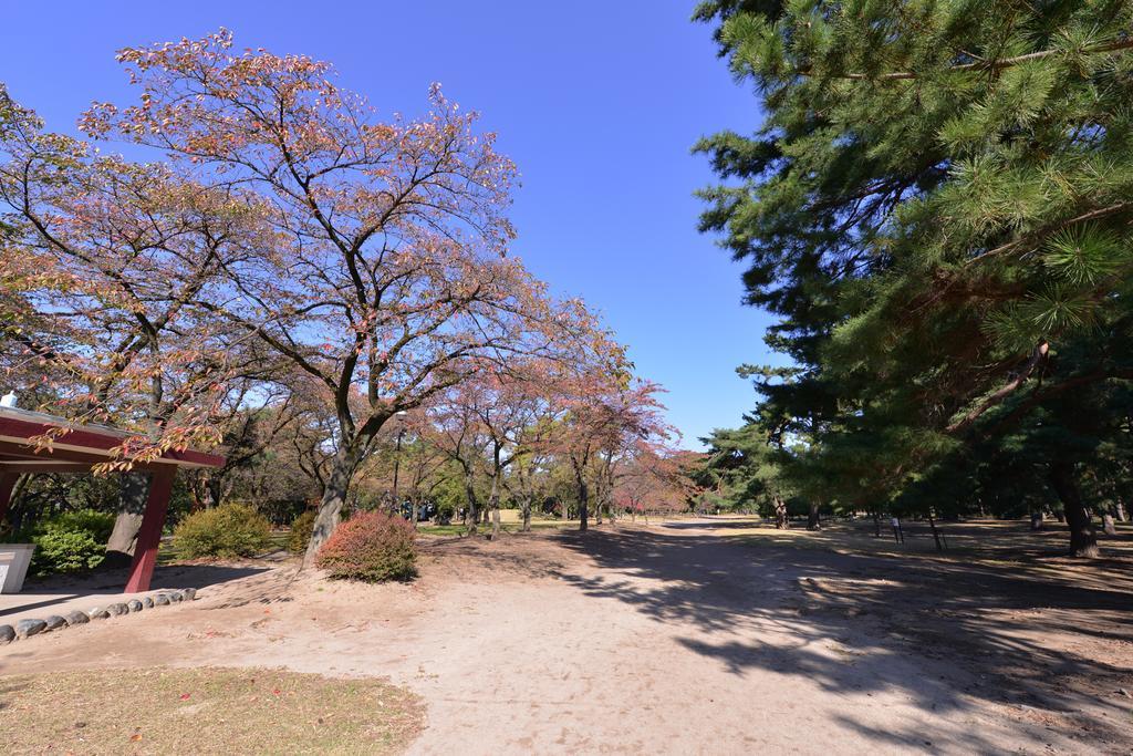 Shinhana No Chaya Hotel Maebashi Exterior photo